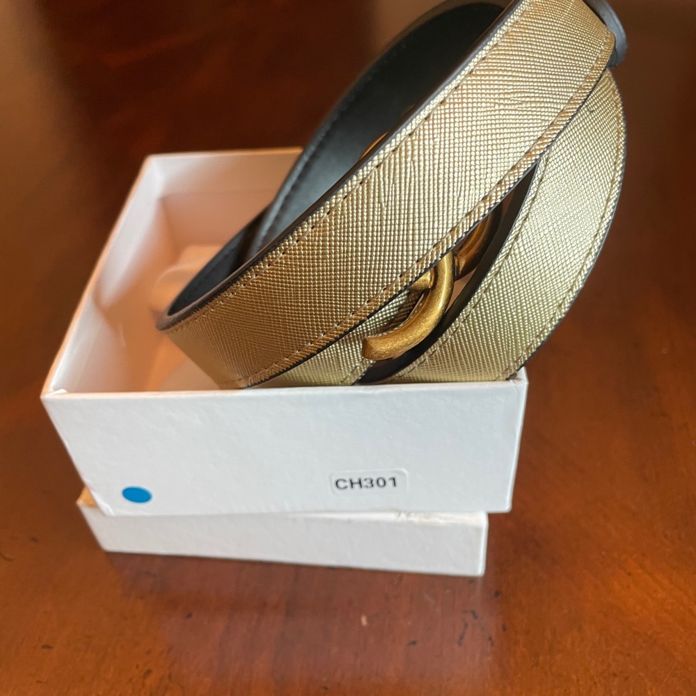 Gold Color Belt! - Picture 7 of 7